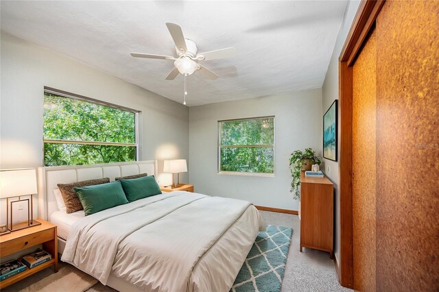 bedroom featuring ceiling fan, multiple windows, baseboards, and carpet flooring