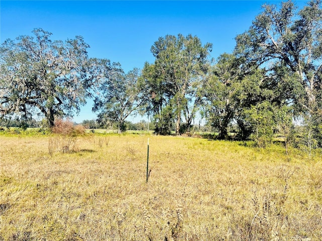 673 SE 70th Loop, Trenton FL, 32693 land for sale