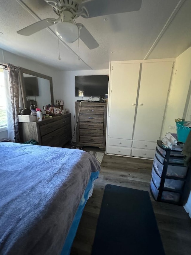 bedroom featuring ceiling fan and dark hardwood / wood-style floors