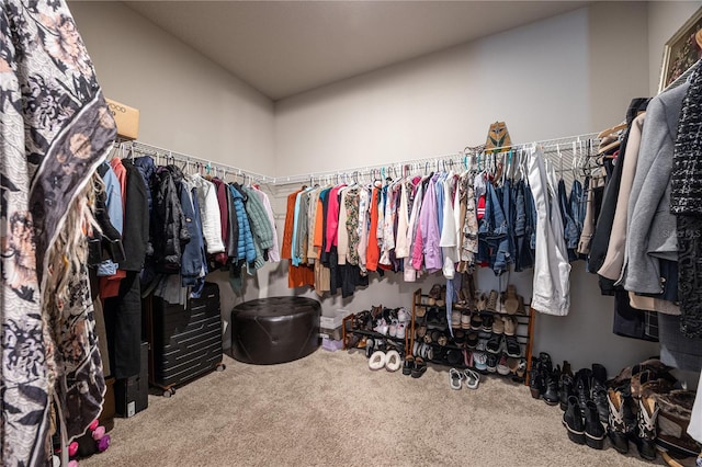 walk in closet featuring carpet floors