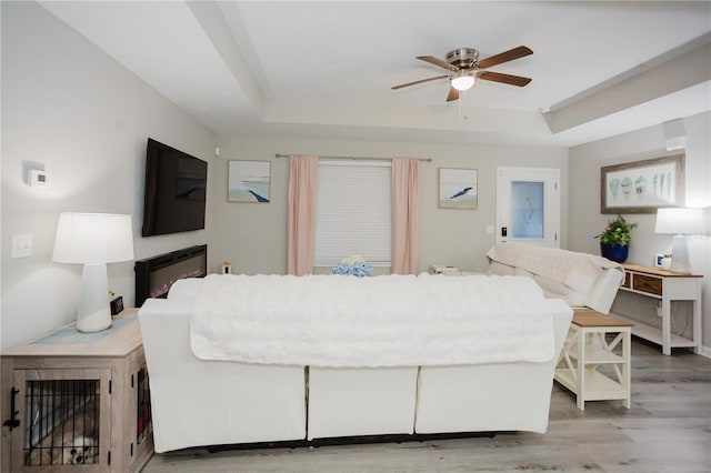 bedroom with hardwood / wood-style floors, ceiling fan, and a tray ceiling