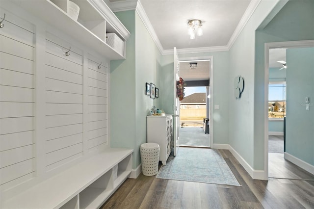 mudroom with dark hardwood / wood-style flooring and crown molding