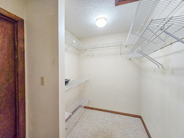 spacious closet with carpet