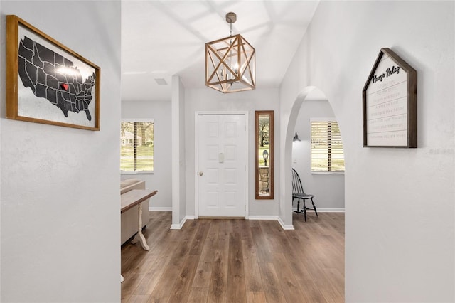 foyer featuring a healthy amount of sunlight and wood-type flooring