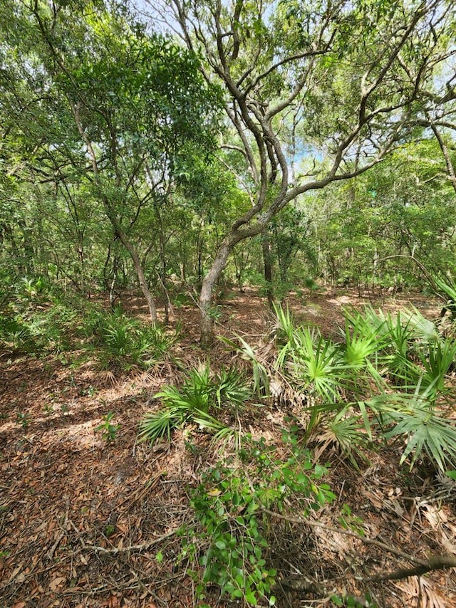 Listing photo 2 for TBD NW 115th St, Chiefland FL 32626