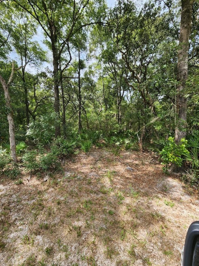 Listing photo 3 for TBD NW 115th St, Chiefland FL 32626