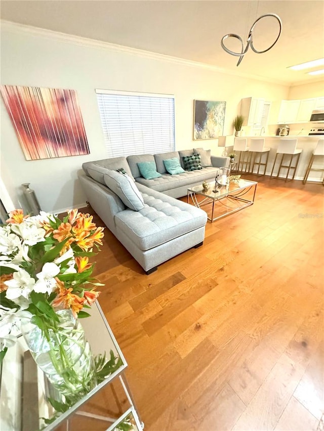 living room featuring crown molding and hardwood / wood-style flooring