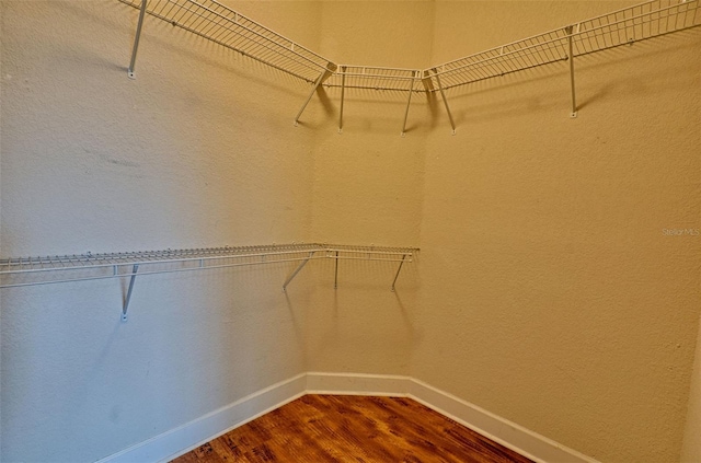 walk in closet featuring wood-type flooring