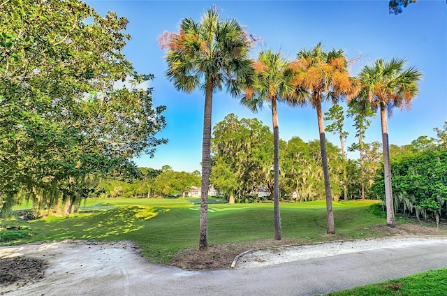 view of property's community with a yard