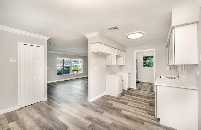 kitchen featuring light hardwood / wood-style floors, white cabinetry, ornamental molding, and sink