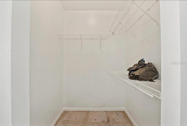 8309 SW 61st Pl, Gainesville, FL 32608 - view of walk in closet