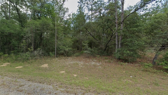 Listing photo 2 for 788 E Byrd Loop, Dunnellon FL 34434