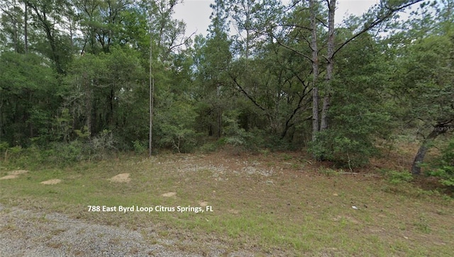 Listing photo 3 for 788 E Byrd Loop, Dunnellon FL 34434