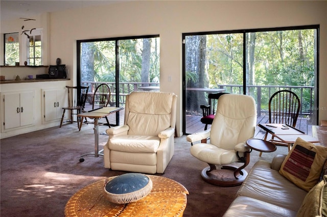 living room with a wealth of natural light and carpet