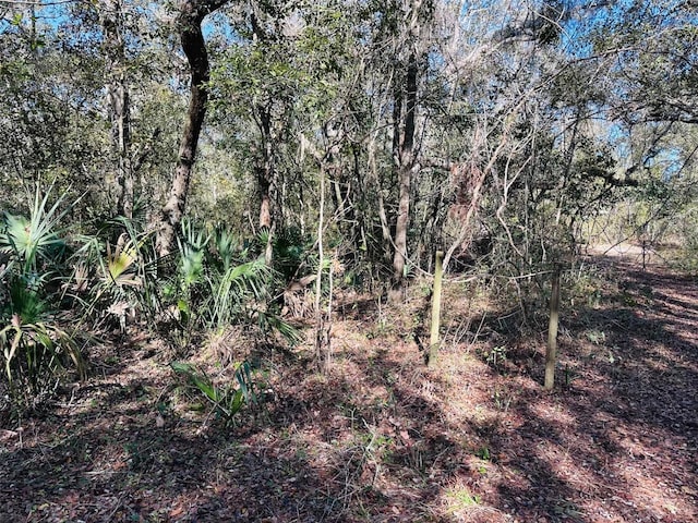 0 SE 229th Ln, Old Town, FL 32680 - photo 1