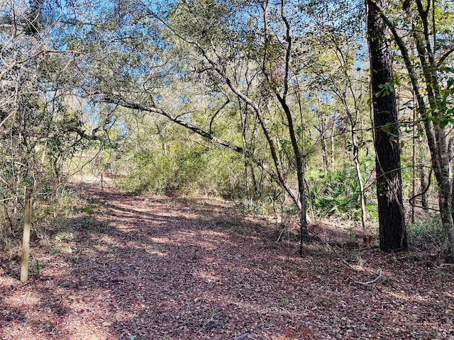 0 SE 229th Ln, Old Town, FL 32680 - photo 2