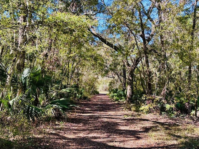 0 SE 229th Ln, Old Town, FL 32680 - photo 4