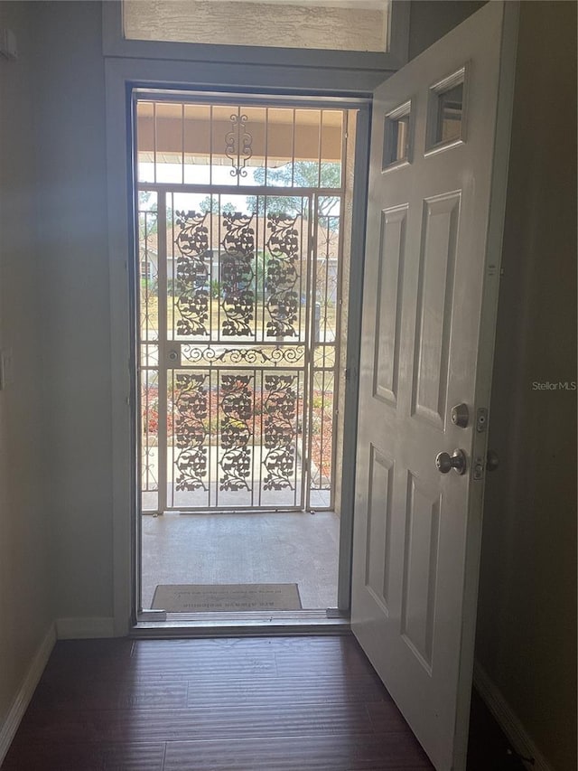 entryway with plenty of natural light and dark hardwood / wood-style floors