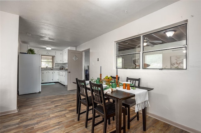 dining room featuring ceiling fan and dark wood-type flooring