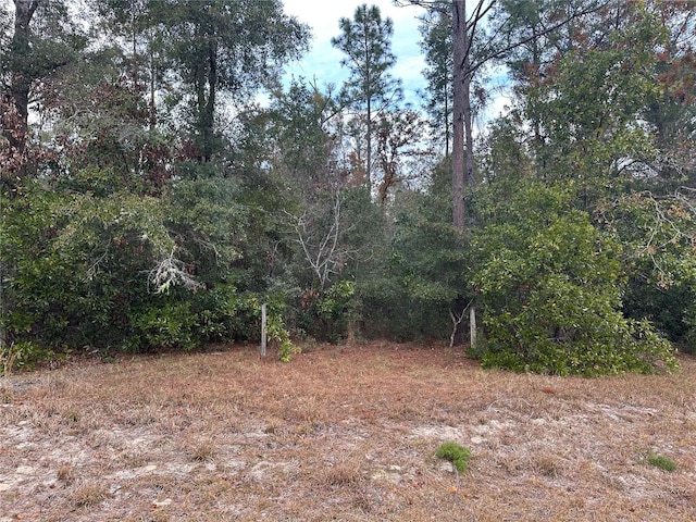 280 St, Branford, FL 32008 - photo 2