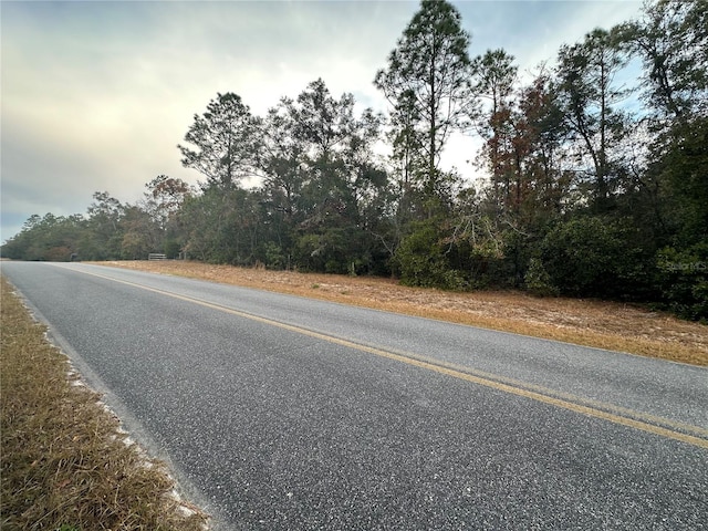 280 St, Branford, FL 32008 - photo 5