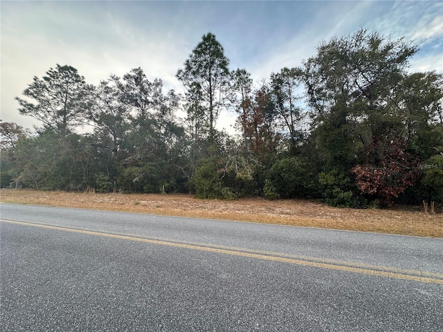 280 St, Branford, FL 32008 - photo 6