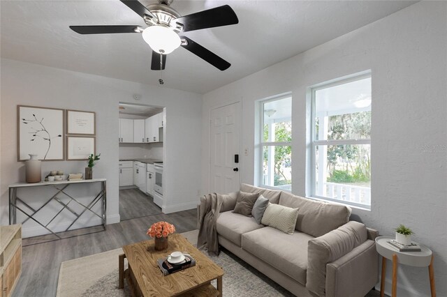 living area featuring baseboards and wood finished floors