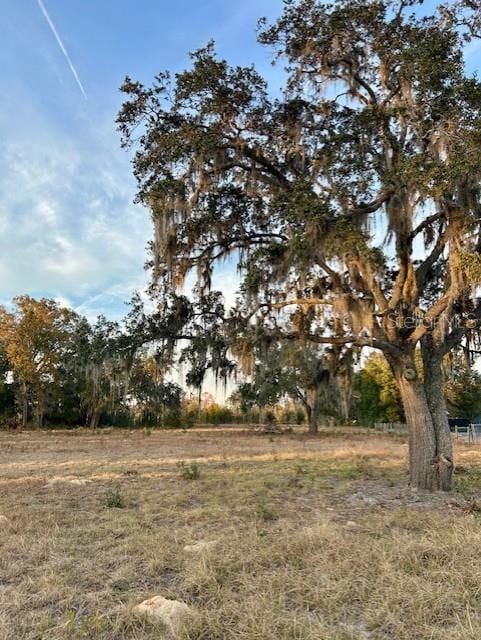 NE 99th Pl, Archer FL, 32618 land for sale