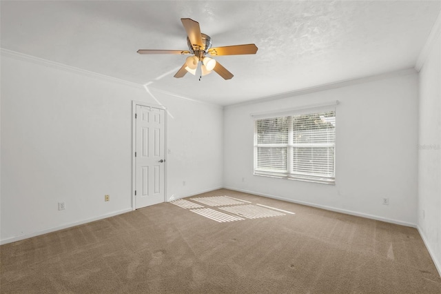 empty room with carpet, ceiling fan, and ornamental molding