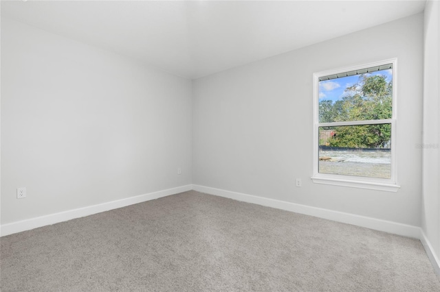 empty room featuring carpet floors