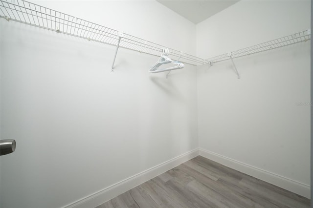 walk in closet featuring hardwood / wood-style flooring