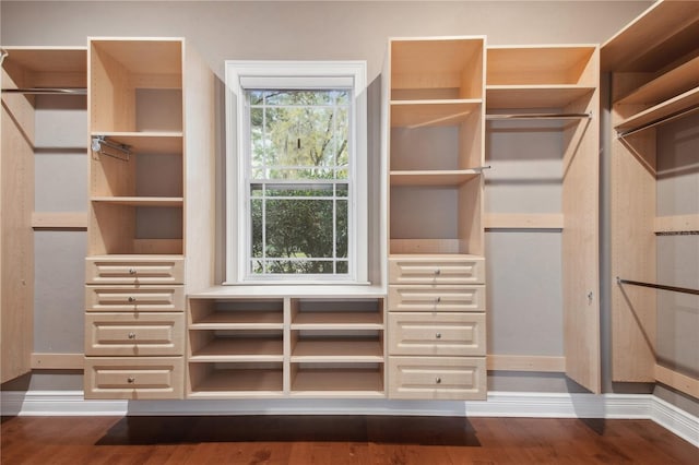 spacious closet featuring wood-type flooring