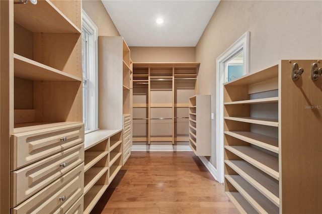 spacious closet with hardwood / wood-style floors