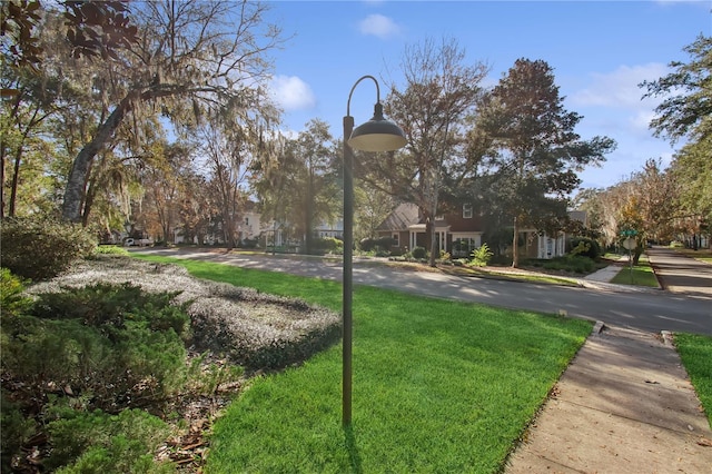 view of community with a lawn