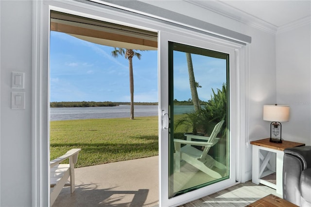 doorway featuring light hardwood / wood-style floors, a water view, and crown molding