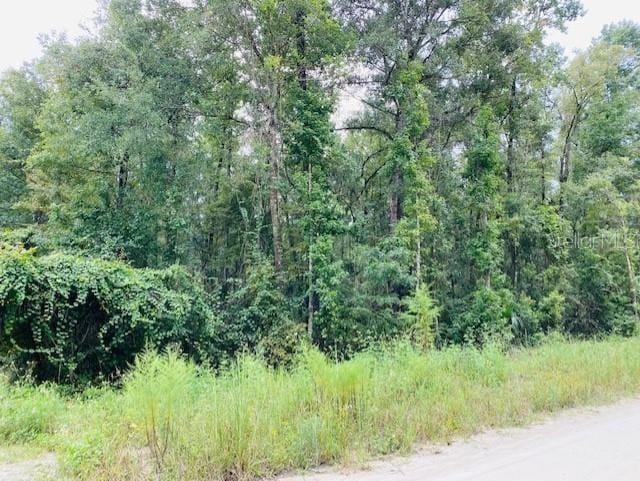 0 NW 756th St, Old Town FL, 32680 land for sale