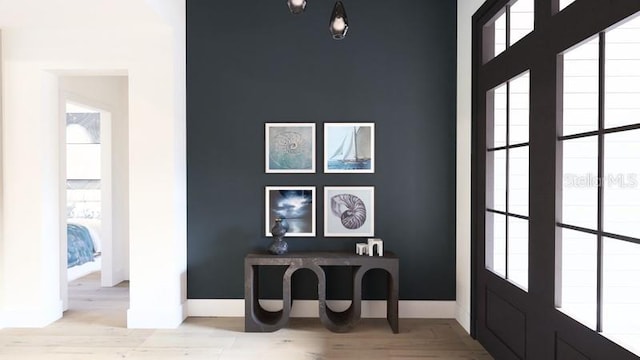 foyer featuring light hardwood / wood-style floors and a wealth of natural light