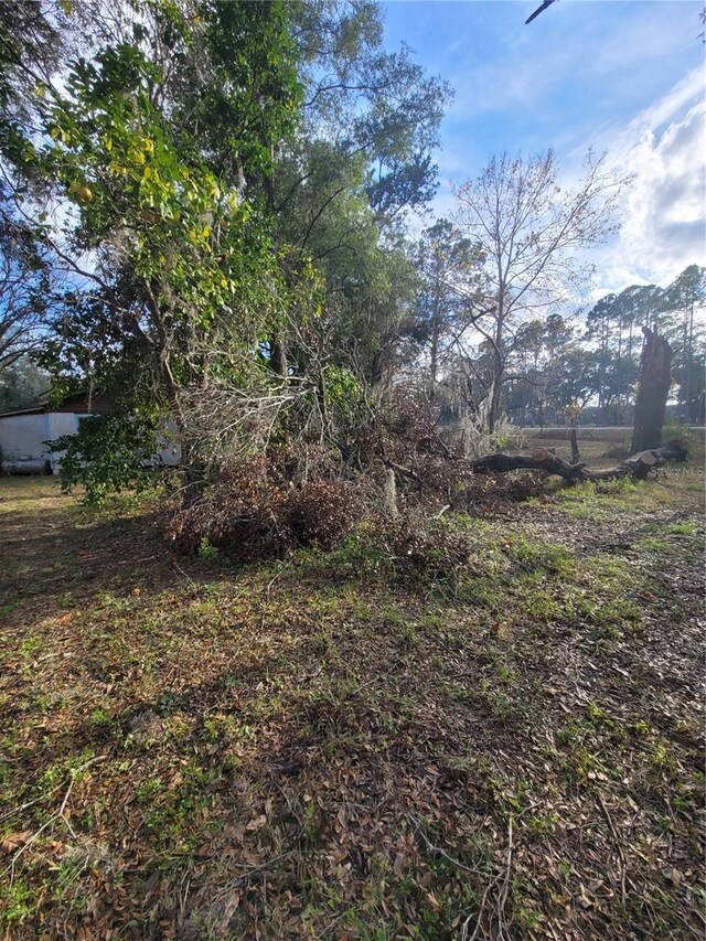 7490 NE 185th Ct, Williston, FL 32696 - photo 7