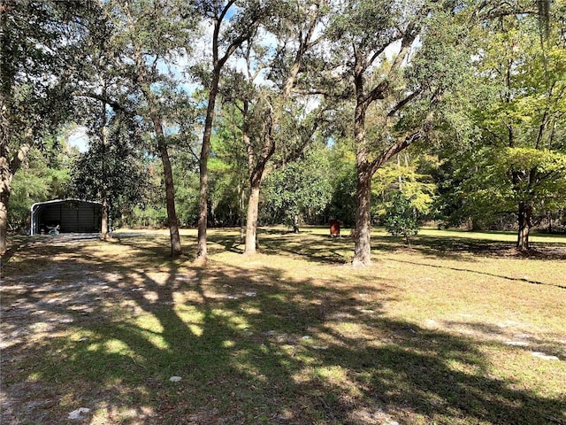 view of yard featuring a carport