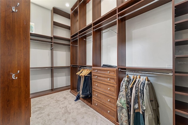 walk in closet with light colored carpet