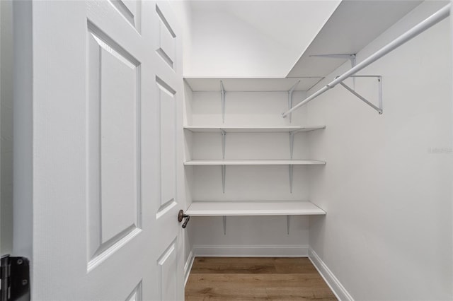 walk in closet featuring wood-type flooring