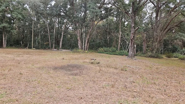 00 NE 37th Pl, Williston FL, 32696 land for sale