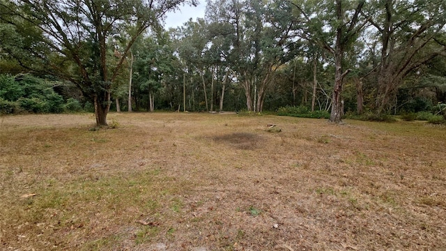 Listing photo 3 for 00 NE 37th Pl, Williston FL 32696