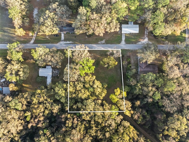 00 NE 37th Pl, Williston FL, 32696 land for sale