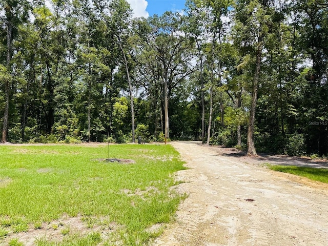 1455 NE 272nd Ave, Old Town FL, 32680 land for sale