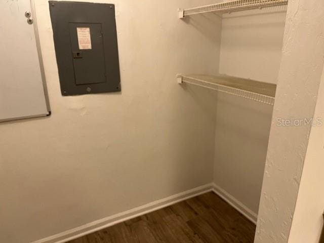 spacious closet featuring dark hardwood / wood-style flooring and electric panel