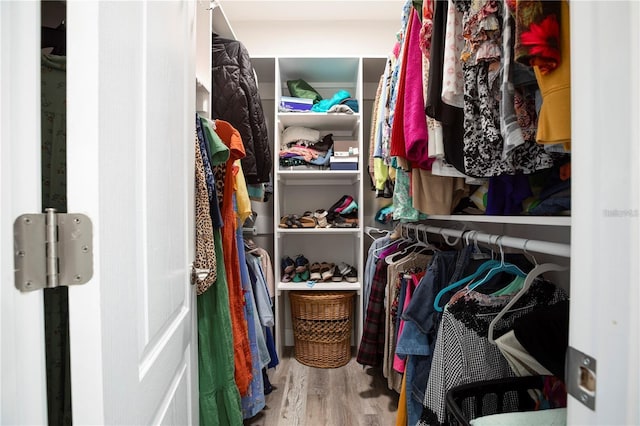 walk in closet with wood-type flooring