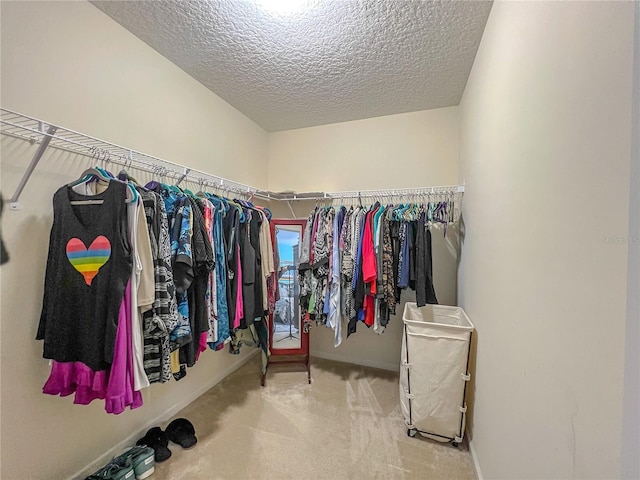 spacious closet featuring carpet floors