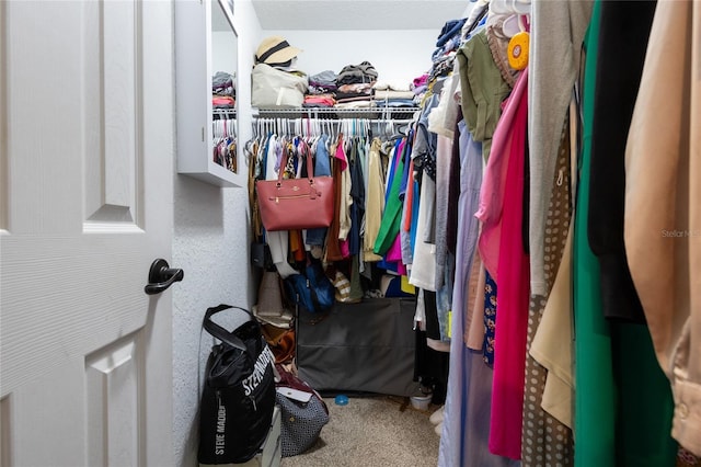 spacious closet with carpet