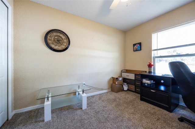 carpeted office with ceiling fan